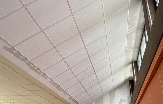 Rasterdecke